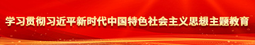 大屁股骚逼操逼学习贯彻习近平新时代中国特色社会主义思想主题教育